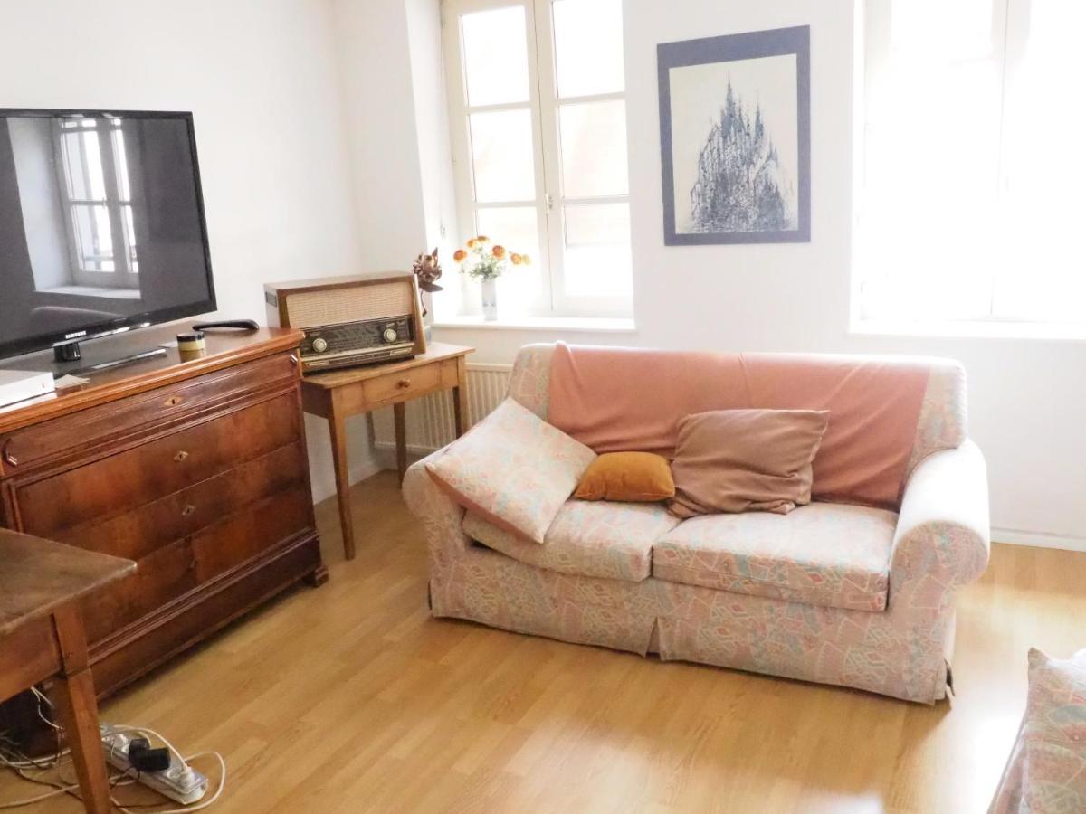 Le Tanneur, Appartement Vintage Hypercentre Страсбург Экстерьер фото